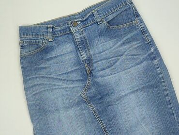 LeviS, Women`s skirt, size M (EU 38)