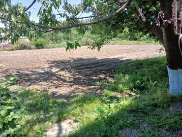 Продажа домов: Дом, 1700 м², 4 комнаты, Собственник, Дизайнерский ремонт — 12