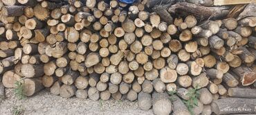 продам тыкву: Дрова Карагач, Самовывоз