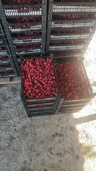 Ящики: Пластиковый Ящик — 2