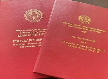 Земельные участки: 400 соток, Для бизнеса, Красная книга, Тех паспорт — 1