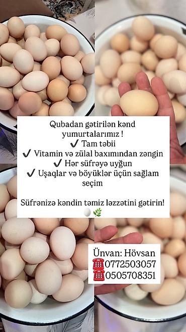 cen su: Məhsul: Qubadan gətirilən kənd məhsulları – yumurta və ev toyuğu - — 1