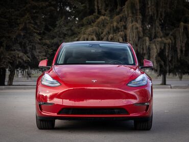 jorkshirskij terer standart: Tesla Model Y: 2021 г., Автомат, Электромобиль, Кроссовер