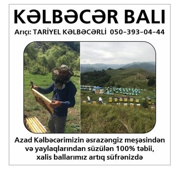 Bal: Kəlbəcər balı – dağ-çiçək və yaylaq balı, həmçinin çökə (linden) balı -da lalafo.az — 2 Bal: Kəlbəcər balı – dağ-çiçək və yaylaq balı, həmçinin çökə (linden) balı — 2