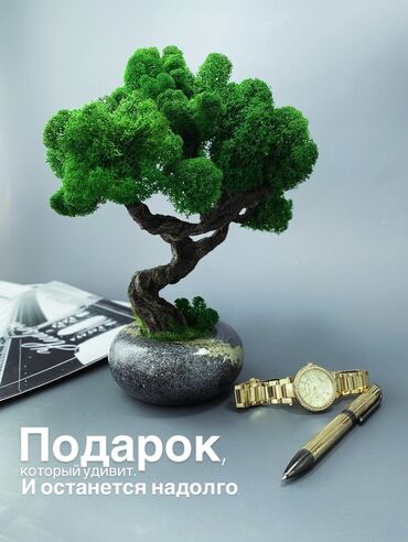 искусственная трава для декора: Деревья-бонсай из натурального стабилизированного мха🌳 -это