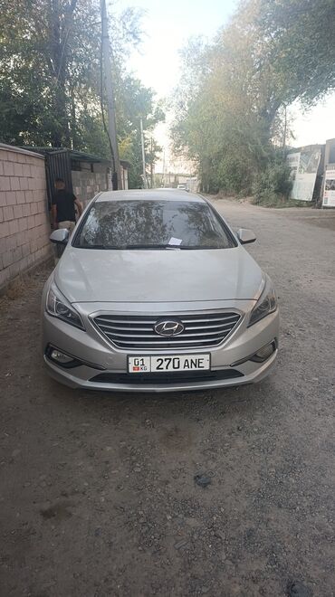 Ремонт сантехники: Hyundai Sonata, седан, серебристый цвет кузова. Основные особенности
