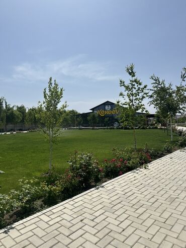 Иссык-Куль 2025: Коттедж, Палм Бич ЦО Palm Beach, Чок-Тал, Детская площадка, Парковка, стоянка, Охраняемая территория — 17