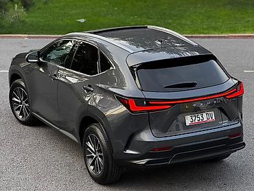 lexus 360: Lexus NX: 2023 г., 2.4 л, Автомат, Бензин, Кроссовер — 7
