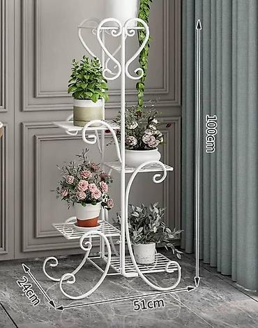 Фикусы: Фикус Бенджамина в напольных кашпо - Два взрослых деревца в отдельных — 36