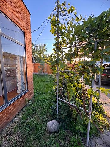Посуточная аренда домов: 🏡 Сдаётся уютная дача в дачном кооперативе «Бек-Тоо» Идеальное место — 4