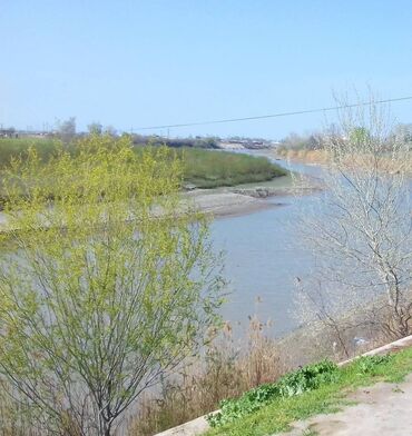 Torpaq sahələrinin satışı: 7 sot, Mülkiyyətçi, Kupça (Çıxarış) — 13