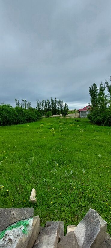 qara torpaq satilir: 20 sot, Tikinti, Mülkiyyətçi, Kupça (Çıxarış)