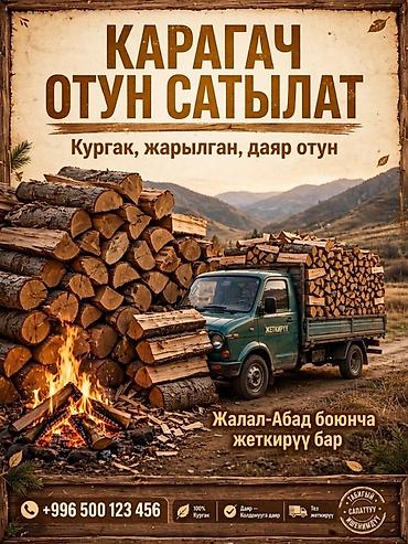 дордой одежды: Дрова Карагач, Самовывоз, Бесплатная доставка, Платная доставка — 1
