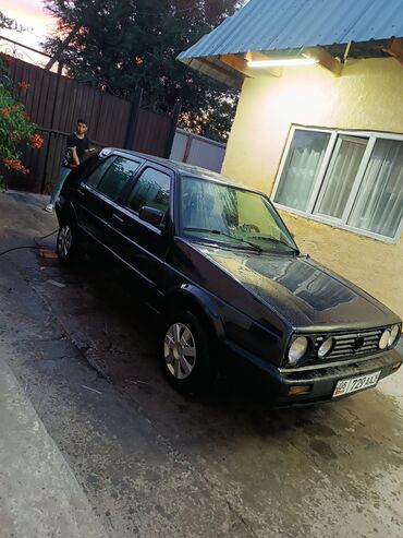 голы вариант: Volkswagen Golf: 1990 г., 1.8 л, Механика, Бензин, Хэтчбэк