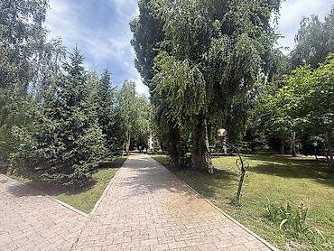 Готовый бизнес: Сары Ой . Пансионат Aзия палас. Сдаются квартира. 7 мест. курортный — 10