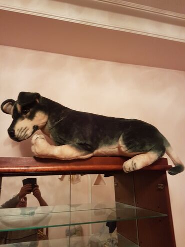 Oyuncaqlar: Oyuncaq it. Çin istehsalı. Uzunluğu 70 - 75 sm. Qiyməti 50 - manat -da lalafo.az — 6 Oyuncaqlar: Oyuncaq it. Çin istehsalı. Uzunluğu 70 - 75 sm. Qiyməti 50 - manat — 6