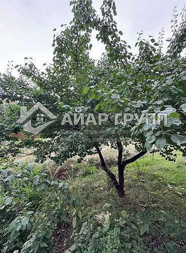 3 к: 3 комнаты, 66 м², 1 этаж — 6