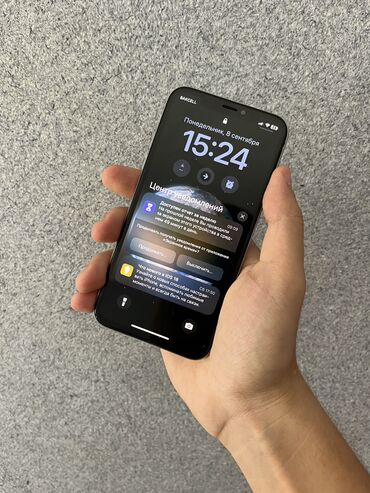 IPhone Xs, 256 ГБ