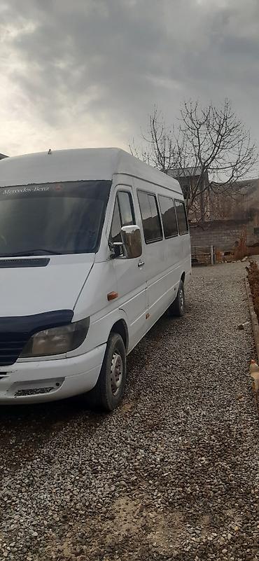 Mercedes-Benz: Mercedes-Benz Спринтер: 2001 г., Дизель, Бус — 2