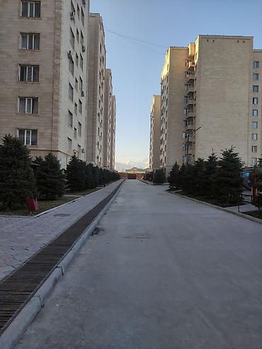2 8: 2 комнаты, 66 м², Тунгуч мкр Элитка, 7 этаж, Евроремонт — 1