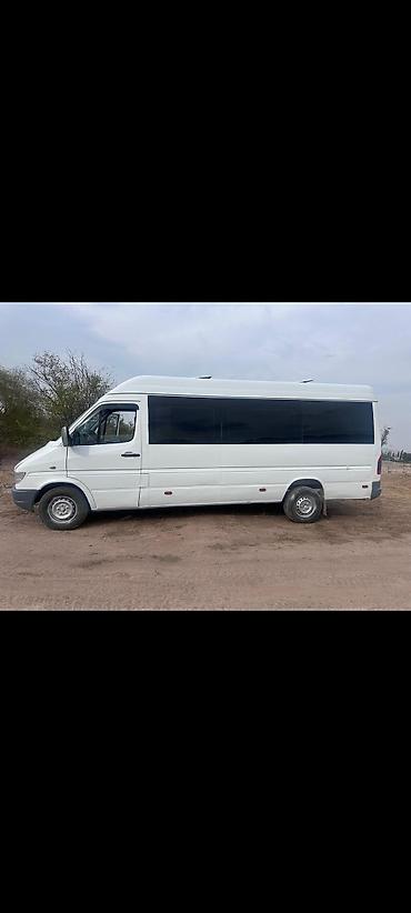 Mercedes-Benz: Mercedes-Benz Спринтер: 1998 г., Бус — 5