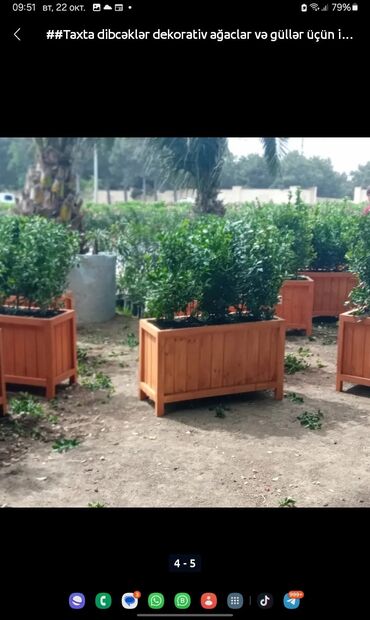 Sifarişlə digər bağ mebeli: Zəmanətsiz, Kredit yoxdur — 16