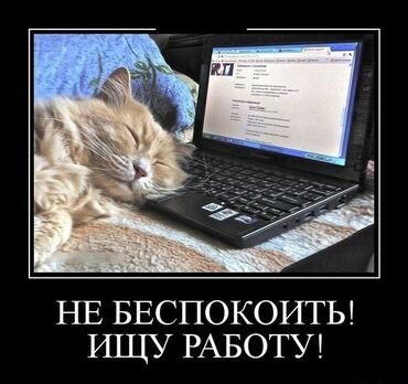 черная работа: Ищу подработку/работу. Я не студент и не школьник, свободный график