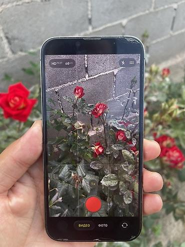 iphone 17 plus: IPhone 13 Pro, Б/у, 128 ГБ, Sierra Blue, Чехол, 80 % — 4