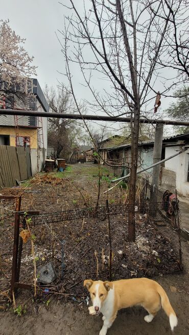 Продажа домов: Дом, 60 м², 3 комнаты, Агентство недвижимости, Старый ремонт — 12