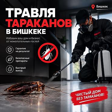 Дезинфекция, дезинсекция, | Тараканы, | Дома at lalafo.kg Дезинфекция, дезинсекция, | Тараканы, | Дома