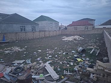 Torpaq sahələrinin satışı: 8 sot, Kənd təsərrüfatı, Mülkiyyətçi, Kupça (Çıxarış) -da lalafo.az — 5 Torpaq sahələrinin satışı: 8 sot, Kənd təsərrüfatı, Mülkiyyətçi, Kupça (Çıxarış) — 5