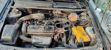 Volkswagen: Volkswagen Golf: 1994 г., 1.4 л, Механика, Бензин, Хэтчбэк — 5