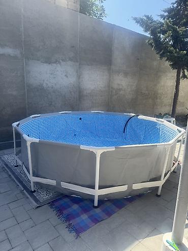 qurban bayramı xonca: Keçən il 370 mnt alənıb.altında 2,3 yerində nöqtə boyda deşikləri var — 1