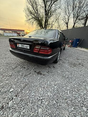 gle cope: Mercedes-Benz E-Class: 1995 г., 3.2 л, Автомат, Бензин, Седан — 3