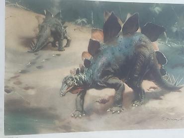 Ev üçün dekor: Məhsul: Dinozavr mövzusunda vintage illüstrasiya çapları dəsti — 7