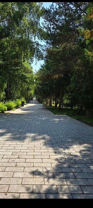 Иссык-Куль 2026: Коттедж, КОТТЕДЖ ЦО Радуга West, Кош-Кол, Детская площадка, Парковка, стоянка, Охраняемая территория — 26