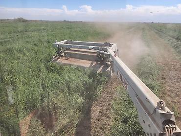 купить скотовоз: Косилка-плющилка CLAAS (прицепная, боковое дышло) - Назначение — 1