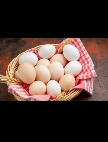 ayam cemani yumurtasi: Toyuq, Yumurtalıq, Ünvandan götürmə