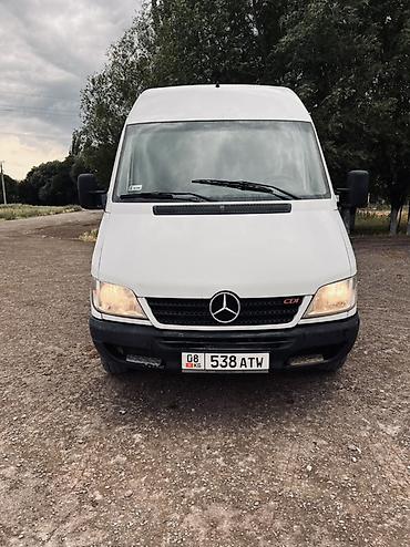 спринтер делфин: Легкий грузовик, Mercedes-Benz, Стандарт, 3 т, Новый — 1