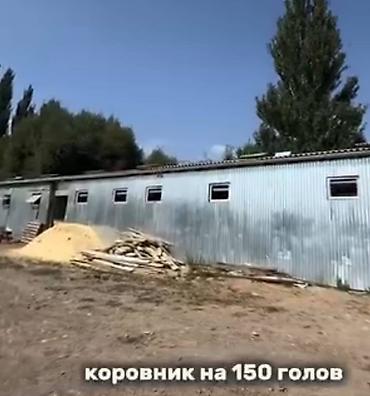 продается ферма: Farm КРС, 2 соток, Действующий, С оборудованием, Электричество, Скважина, Холодная вода — 2