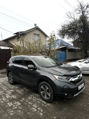 Honda: Honda CR-V: 2019 г., 1.5 л, Автомат, Бензин, Кроссовер