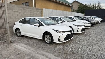 corolla runx: Белый седан Toyota Corolla с современным дизайном кузова. Количество