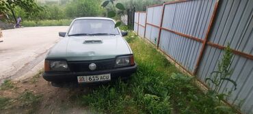 тряпка для авто: Opel Ascona: 1982 г., 1.8 л, Механика, Бензин, Седан