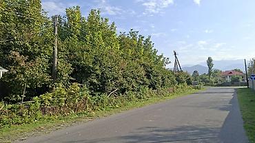 razin: Tikinti — 4