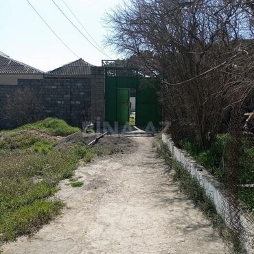 Torpaq sahələrinin satışı: 16 sot, Tikinti, Mülkiyyətçi, Kupça (Çıxarış) — 14