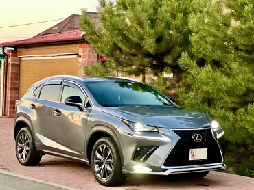 ничего: Lexus NX: 2018 г., 2 л, Автомат, Бензин, Кроссовер