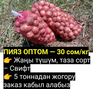 купить двуспальную кровать с матрасом недорого: Рассада овощей: Лук, Бесплатная доставка