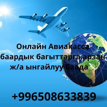 detoxic цена в бишкеке: Онлайн Авиакасса баардык олкого арзан баада, ж/а ишеничтуу биз менен