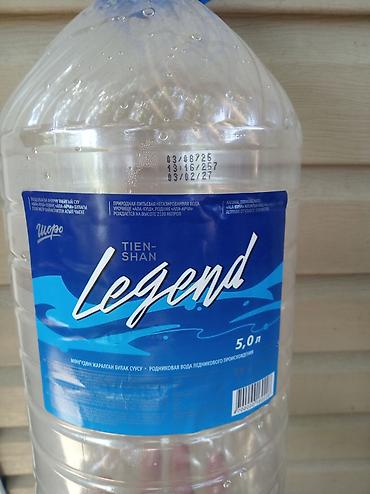 Природная питьевая вода Tien-Shan Legend, негазированная, 5,0 л. -