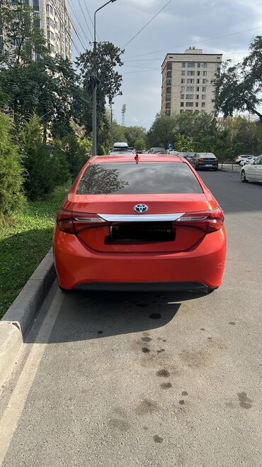 маленькая машина: Красный седан Toyota Corolla с эмблемой Toyota на передней и задней